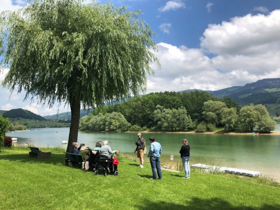 Image Semaine au vert pour notre Foyer de Jour