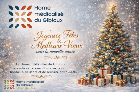 Image Joyeux No&euml;l et tr&egrave;s belle ann&eacute;e 2026 &agrave; tous les amis du HMG !